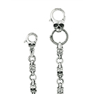 WC5010: Skullaurier small