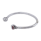 BR5001: Skully