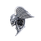 P5110: Raven