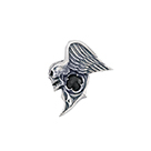 P5111: Raven small