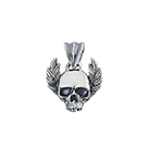 P5210: Skullaurier