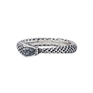 R5189: Ouroboros