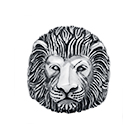 R5254: Leo