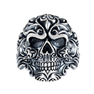R5255: Alienor