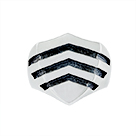 R5295: Blason