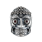 R9001silver: Kapala